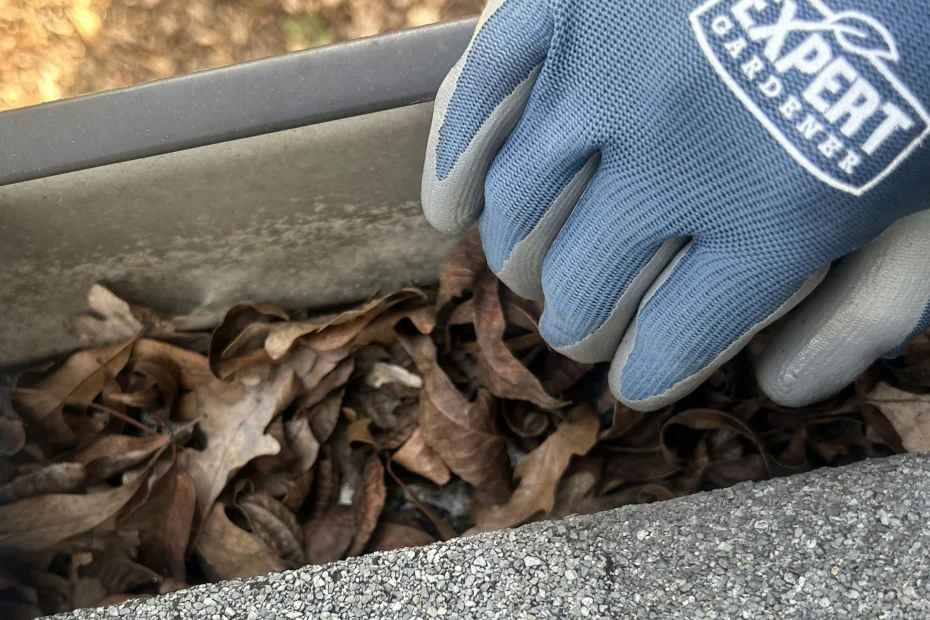 Pasadena Gutter Cleaning