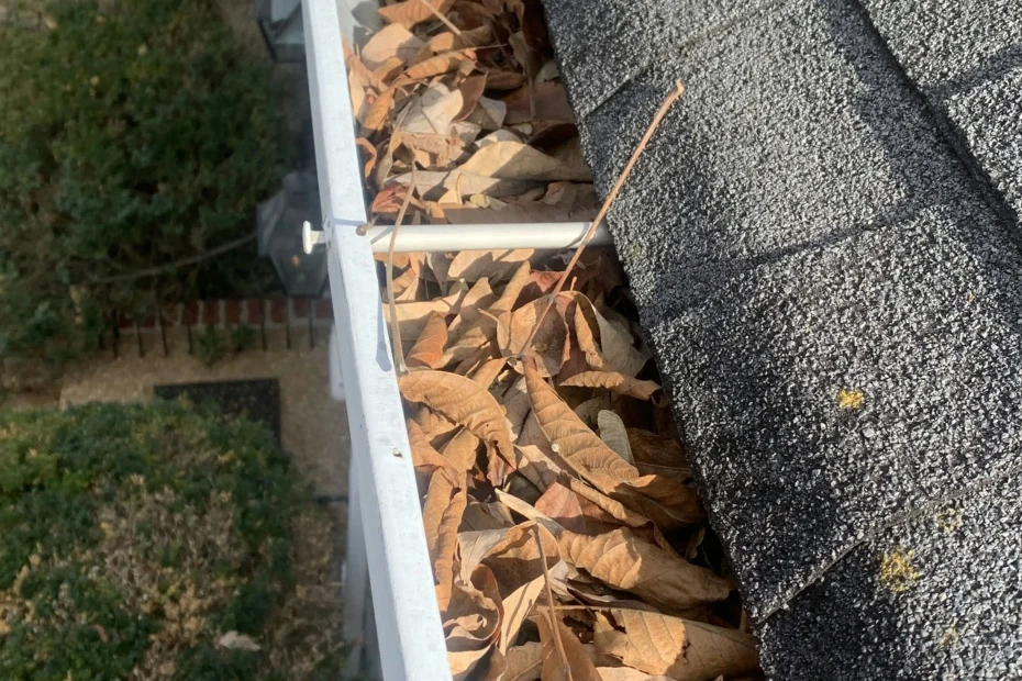 Pasadena Gutter Cleaning