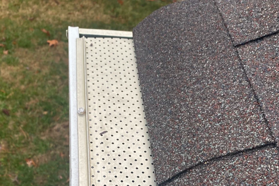 Pasadena Gutter Cleaning